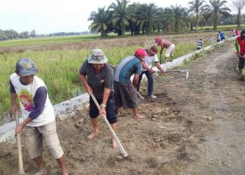 Kades Serdang Ajak Warga Gotong Royong Bersihkan Jalan Pertanian