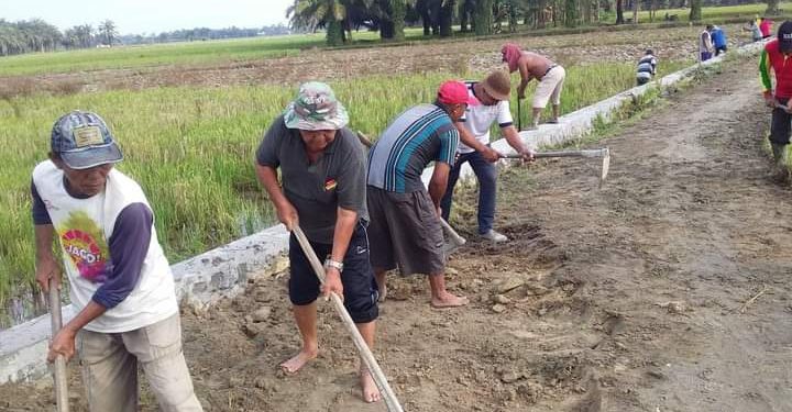 Kades Serdang Ajak Warga Gotong Royong Bersihkan Jalan Pertanian