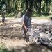 Warga Mekar Marjanji Asahan Gotong Royong Atasi Kerusakan Jalan Desa