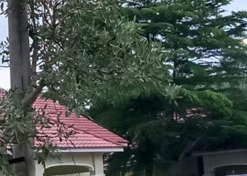 Selamat Atas Dibukanya Permainan Tembak Ikan di Simpang Empat Asahan