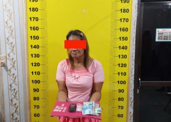 Dikibusi Jual Sabu, Wanita Asal Sei Kepayang Diringkus Personel Polres Asahan