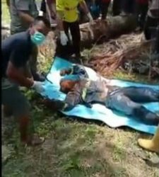 Empat Hari Gak Pulang, Azmi Ditemukan Tewas Tertimpa Pokok Sawit