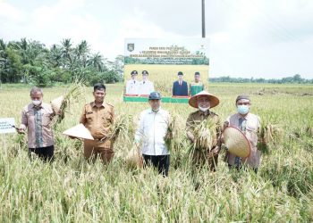 Panen Raya Padi di Desa Gajah, Bupati Asahan Harap Petani Mustahik jadi Muzaki