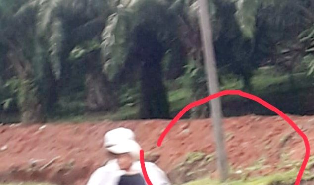 teks/foto: edi surya
Tiang listrik milik PT PLN yang telah miring dan dikawatirkan tumbang, diduga akibat galian parit oleh PTPN III Karya Ambalutu, Asahan.