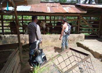 Bhabinkamtibmas Polsek Prapat Janji imbau Peternak untuk Antisipasi Wabah PMK