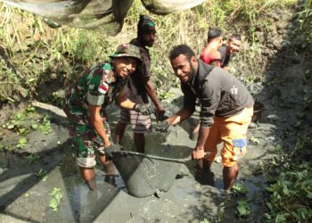 Panen Ikan Lele Hasil Budidaya Satgas Yonif 126/KC dan Warga Perbatasan Papua