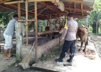 terkait wabah PMK (Penyakit Mulut dan Kuku)