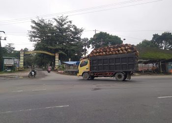 Truk Pengangkut Sawit Tanpa Jaring Pengaman Bebas Melintas di Jalinsum Asahan-Labura