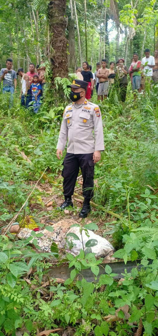 Mayat Keluarga Siapa Ini, Ditemukan di Kebun Karet Milik Warga di Sibabangun Tapteng