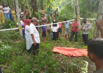 Mayat Keluarga Siapa Ini, Ditemukan di Kebun Karet Milik Warga di Sibabangun Tapteng