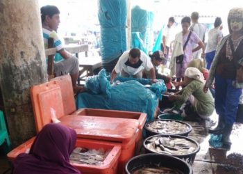 Tangkapan Nelayan Minim, Harga Ikan di Sibolga-Tapteng Naik