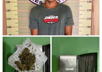 Pengedar Sabu dan Ganja Dibekuk Sat Resnarkoba Polres Tapteng