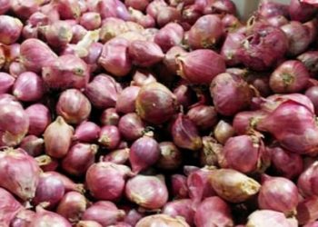 Di Tapteng Harga Bawang Merah Rp65 Ribu per Kg