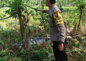 Bhabinkamtibmas Polsek Kota Kisaran  Laksanakan Gotong Royong Massal