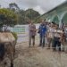Delmeria Salurkan Qurban di Tapteng dan Sibolga