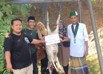 HMI CAKIS Sembelih Kambing Dari Akbar Tanjung