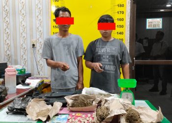 Pengedar Narkotika Ganja di Jalan Arwana Sidomukti Diringkus