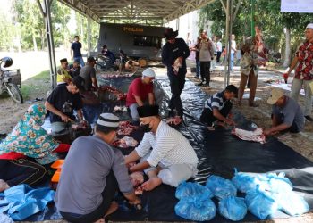 Polres Asahan Sembelih 7 Ekor Sapi di Idul Adha 1443 H