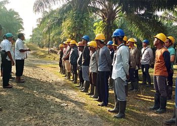 PTPN III Kebun Sei Dadap Asahan Angkat 26 Karyawan PKWT Pemanen Sawit