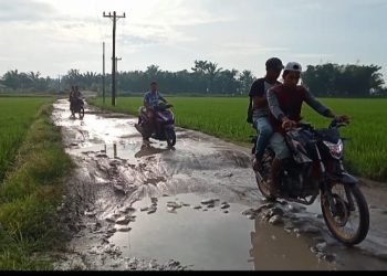 Tolong Pak Bupati, Perbaiki Jalan Lintas Penghubung Kecamatan Meranti- Rawang Panca Arga