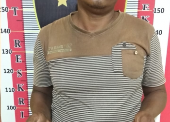 Nyambi Nulis Togel, Petani di Pinangsori Dicokot Polisi