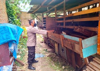 Antisipasi PMK, Personil Polsek Siantar Timur Sambangi Kandang Ternak Warga