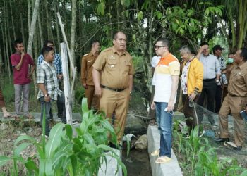 Wabup Asahan Dampingi Ketua Komisi II DPR RI Silaturrahmi dengan Warga Pulo Bandring