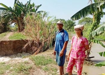 Puluhan Petani di Desa Suka Jadi Asahan Bakal Gagal Panen