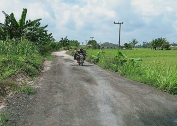 Warga Keluhkan Kondisi Jalan di Desa Gajah