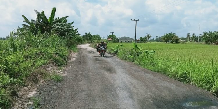 Warga Keluhkan Kondisi Jalan di Desa Gajah