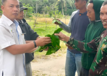 PTPN III Kebun Sei Dadap Latih Masyarakat Buat Pakan Ikan untuk Tingkatkan Perekonomian