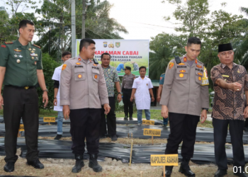 Terima Bantuan 5 Ribu Bibit Cabai dari Pemkab Asahan, Kapolres Bersama Forkopimda Lakukan Penanaman di Polsek Kota Kisaran