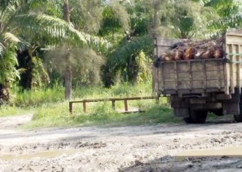 Kelompok 80 Tuntut Pengembalian Lahan 320 Ha, Tomas: Gubsu Diharapkan Bantu Penyelesaian Sengketa Tanah di Sergai