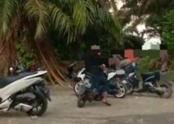 Lokasi di belakang bekas gudang sapu lidi jalan by pass, Kecamatan Rantau Selatan, Kabupaten Labuhanbatu. 