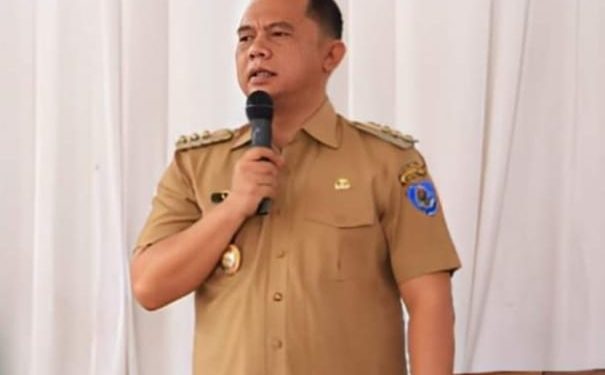 Bupati Labuhanbatu H Erik Adtrada Ritonga