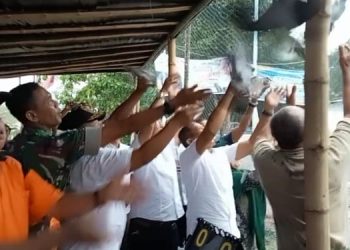 Pelepasan Burung Merpati Buka Turnamen Voly Pemuda Pujakesuma