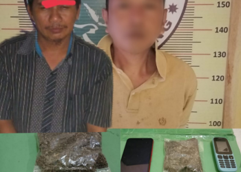 Tempo 2 Jam, Satres Narkoba Polres Tapteng Ringkus 2 Pengedar Ganja