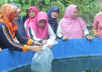 Ketua PKK Kabupaten Asahan Serahkan Benih Ikan ke Masyarakat