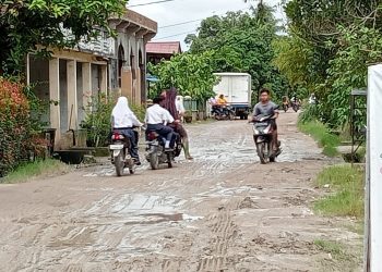 Warga di Sei Beluru Berharap Jalan di Desa Mereka Diperbaiki, Jika Hujan Becek, Kalau Kemarau Berdebu