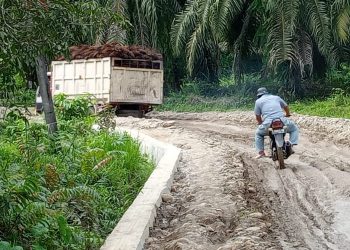 Aneh, Proyek Perbaikan Jalan di Batubara Tak Kunjung Siap, Warga Heran 