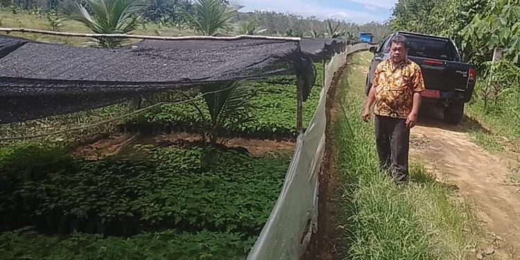 (Budi/TASLABNEWS) Kepala Dinas Pertanian Labuhanbatu Ir H Agus Salim Ritonga saat melakukan kunjungan ke kelompok tani binaan di Desan Kampung Dalam. 