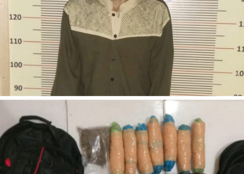 (Zatam/Taslab News) Teduga pelaku bersama barang bukti 4,6 kg ganja diamankan di Mako Polres Tapteng. 