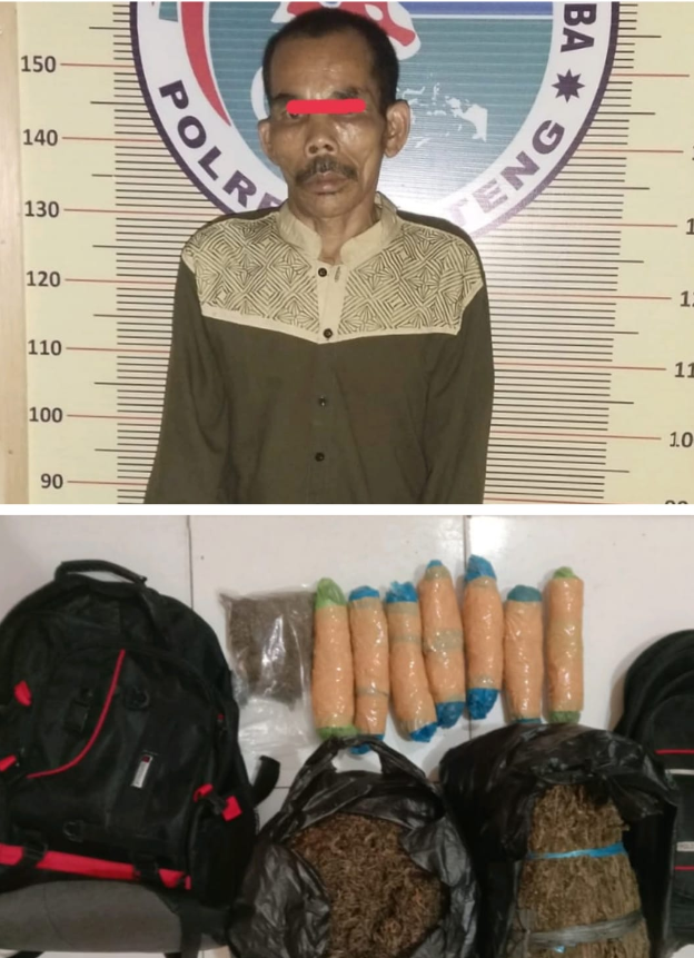 (Zatam/Taslab News)Teduga pelaku bersama barang bukti 4,6 kg ganja diamankan di Mako Polres Tapteng. 