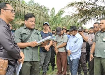 Pihak PN Rap saat membacakan penetapan konstatering di badan jalan areal PT HSJ dan tidak berada di areal sengketa. 