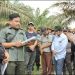 Pihak PN Rap saat membacakan penetapan konstatering di badan jalan areal PT HSJ dan tidak berada di areal sengketa.