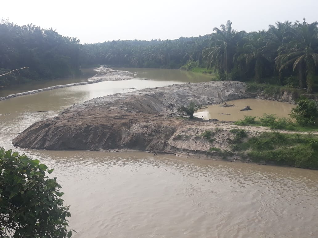 Ratusan Hektar Persawahan Padi di Asahan Beralih Fungsi jadi Palawija