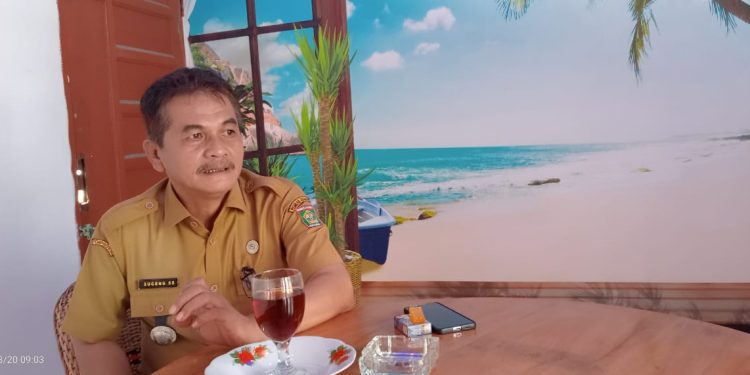 Camat Meranti