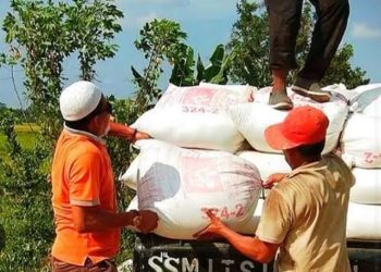 Harga Pupuk Mahal, Warga Desa Proyek Panca Arga Menjerit