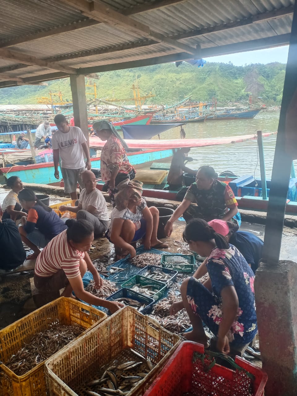 (Rey Simorangkir/TASLABNEWS) :Babinsa Koramil 06/Kota, Serda Boyke Hutabarat mengecek perkembangan ketersediaan dan harga ikan di Tangkahan, yang berlokasi di Kelurahan Aek Habil, Kota Sibolga. 