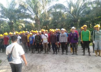 78 Peserta Ikuti Uji Kompetensi Sebagai Karyawan PKWT Pemanen Sawit di Kebun Sei Dadap Asahan